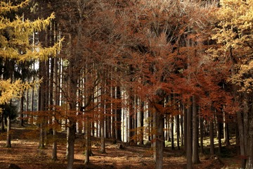 blog-list-img-01